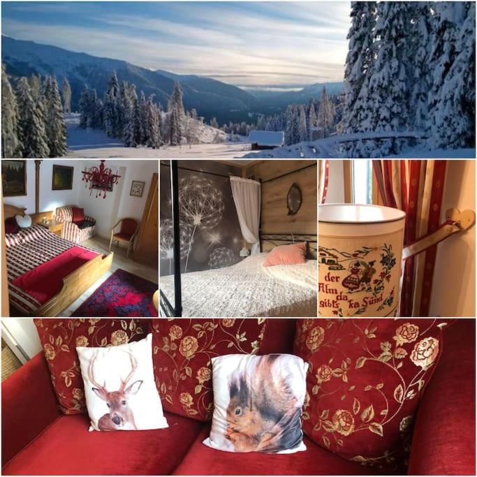 Holiday Guesthouse La Casina Di Butzi Pet Friendly - Terme Di Arta - Zoncolan Arta Terme Exterior foto