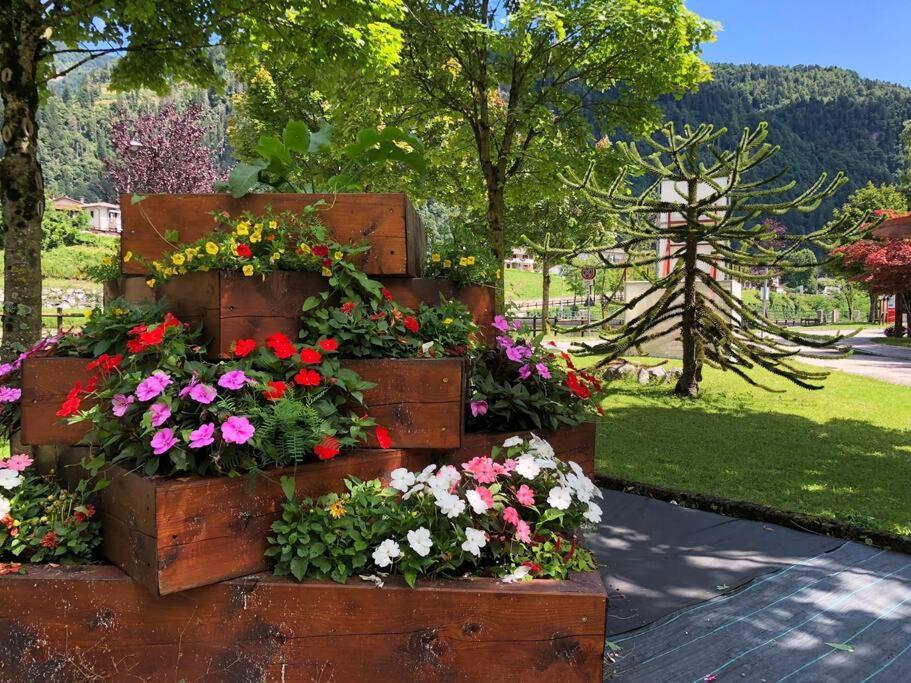 Holiday Guesthouse La Casina Di Butzi Pet Friendly - Terme Di Arta - Zoncolan Arta Terme Exterior foto
