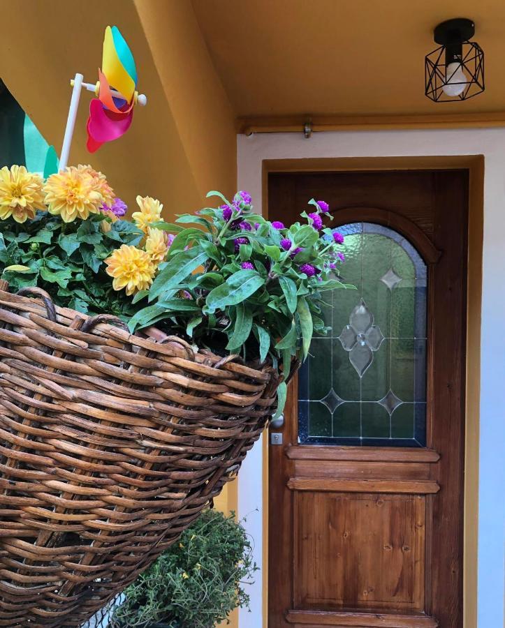 Holiday Guesthouse La Casina Di Butzi Pet Friendly - Terme Di Arta - Zoncolan Arta Terme Exterior foto