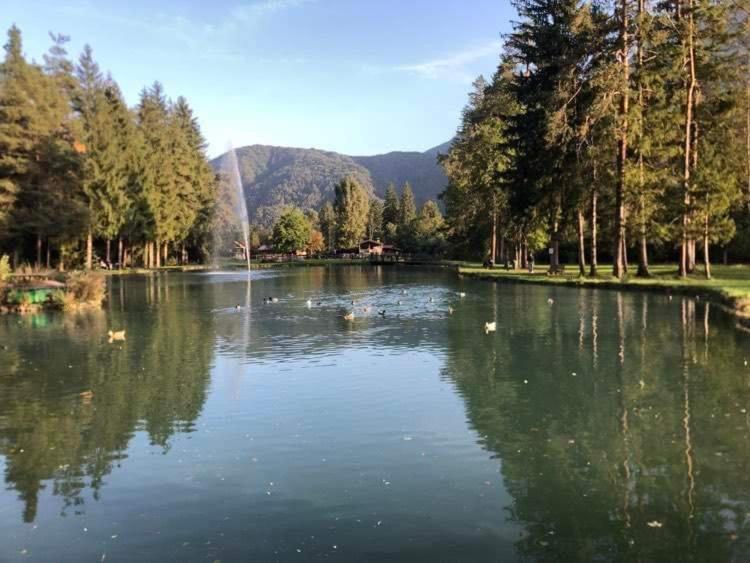 Holiday Guesthouse La Casina Di Butzi Pet Friendly - Terme Di Arta - Zoncolan Arta Terme Exterior foto